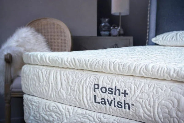 Latex - SleepCity Mattress Store