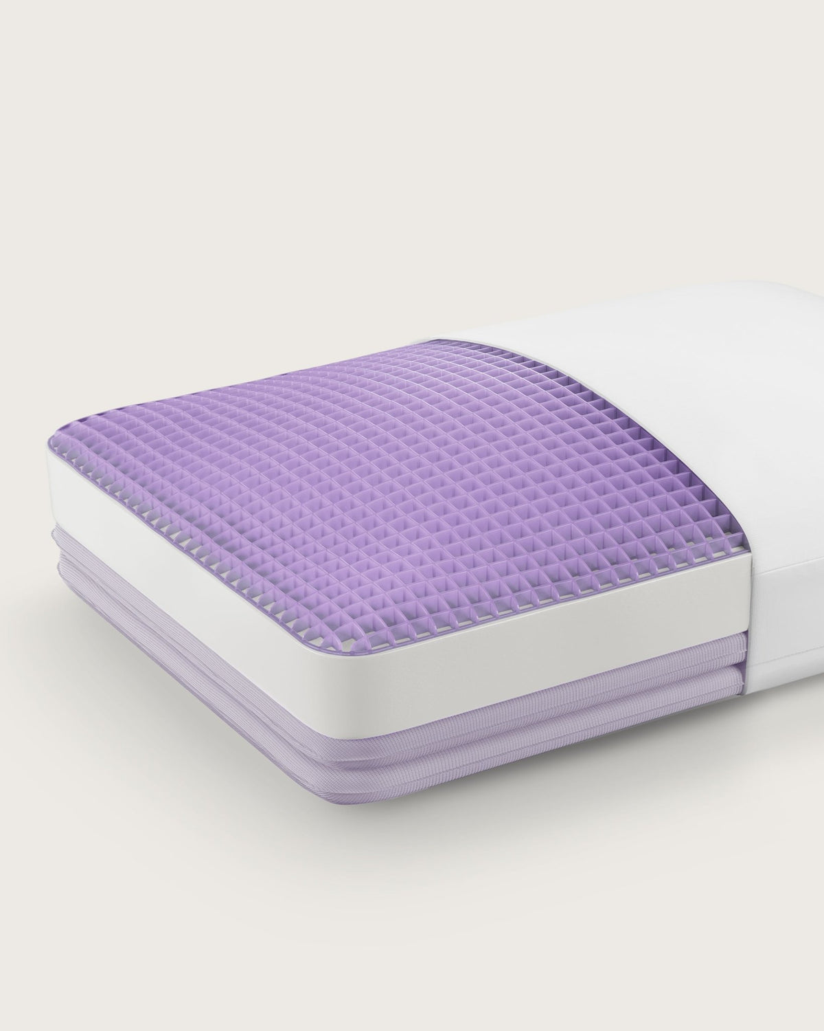 Purple Dreamlayer Pillow by SleepCity – High-quality Pillow for better sleep.