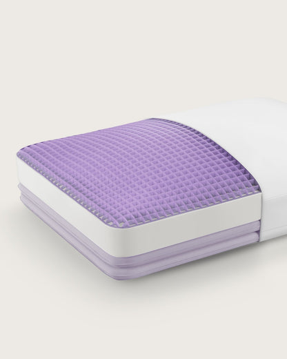Purple Dreamlayer Pillow by SleepCity – High-quality Pillow for better sleep.