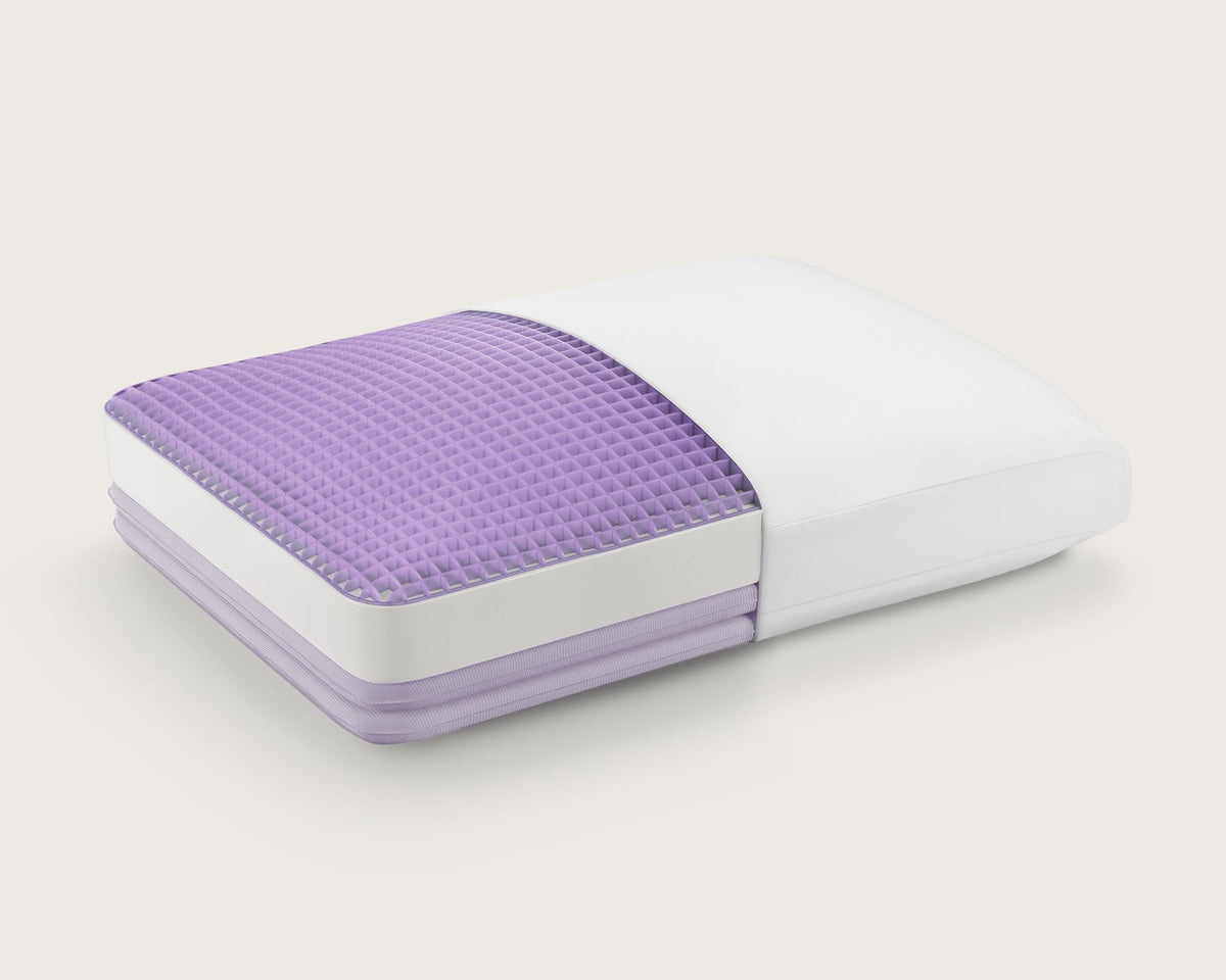 Purple Dreamlayer Pillow by SleepCity – High-quality Pillow for better sleep.