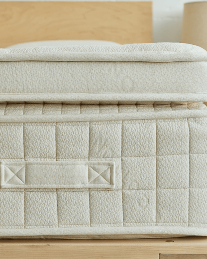 Avocado Green Mattress - Standard/Firm SleepCity Mattress Store