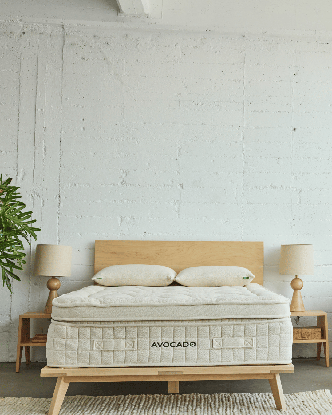 Avocado Green Mattress - Standard/Firm SleepCity Mattress Store
