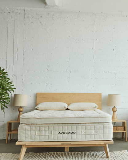 Avocado Green Mattress - Standard/Firm SleepCity Mattress Store