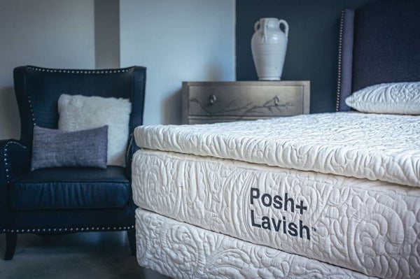 Posh+Lavish Reawaken True Pillow Top 13 Inch Mattress by SleepCity – High - quality Pillowtop Mattress for better sleep.